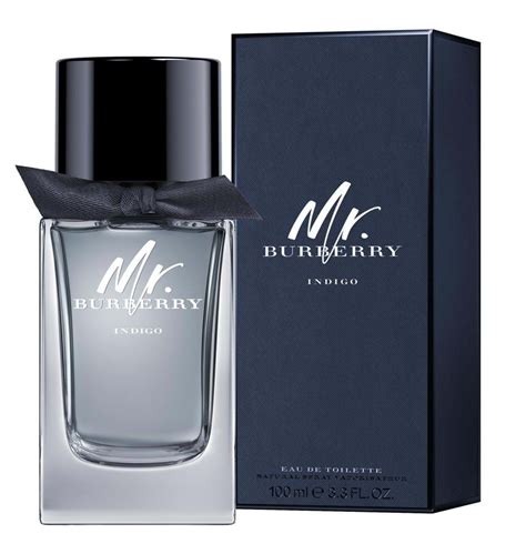 burberry cologne for men macy's|where to buy mr Burberry.